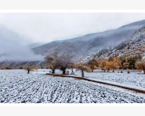 明天更美好：补气益血口服液，健康无价