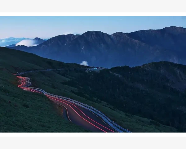 早晨喝什么茶清肺排毒