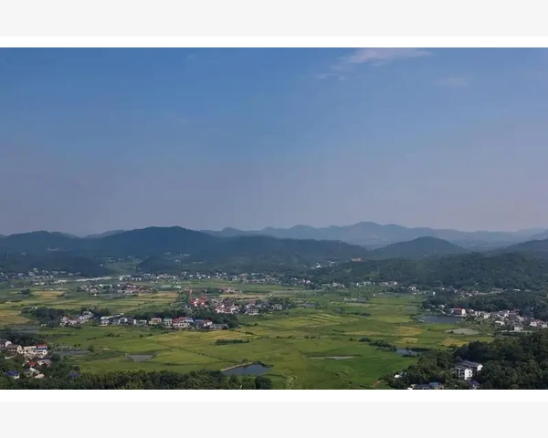 流汗多与脾胃虚：科学解读